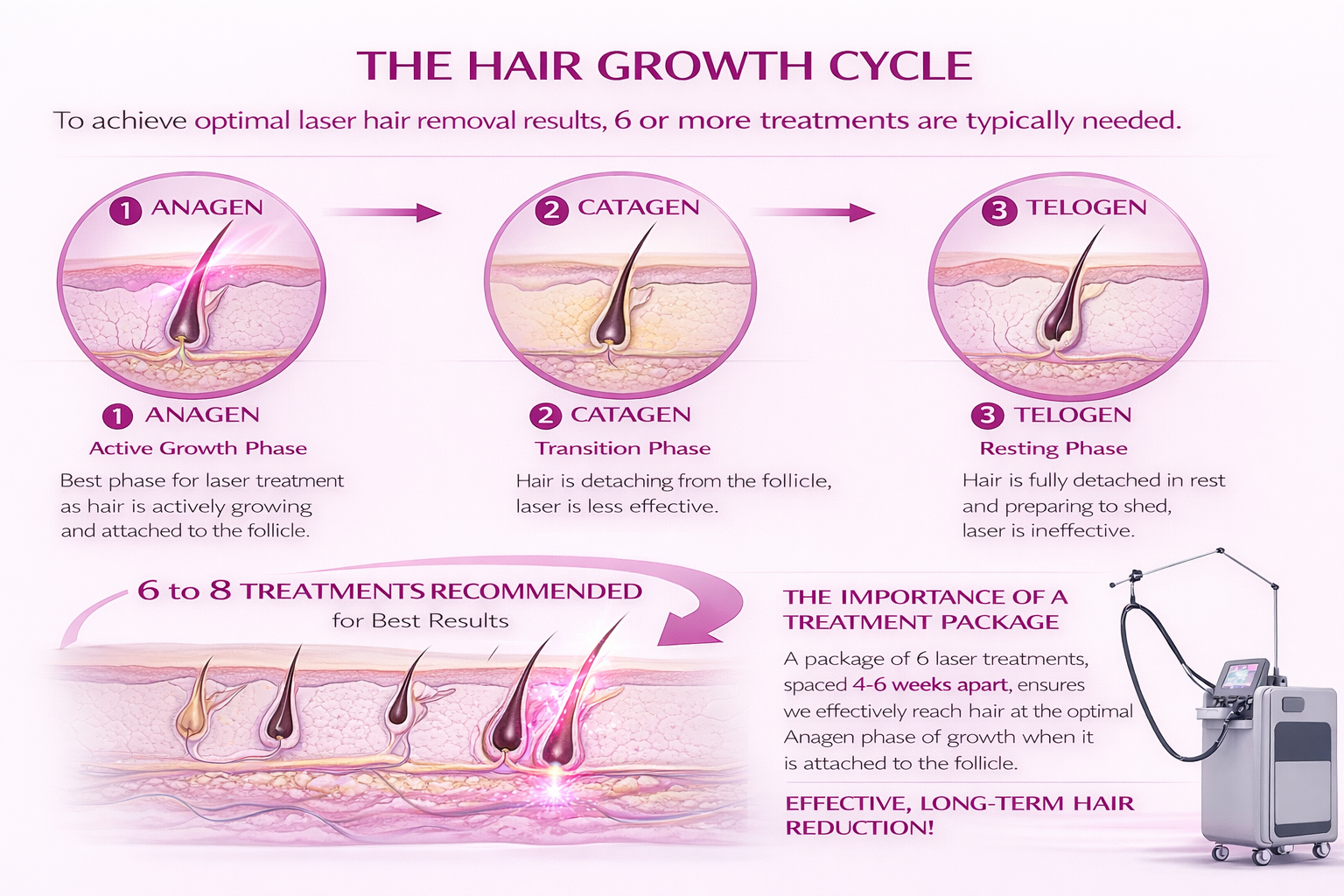 laser hair removal growth cycle image